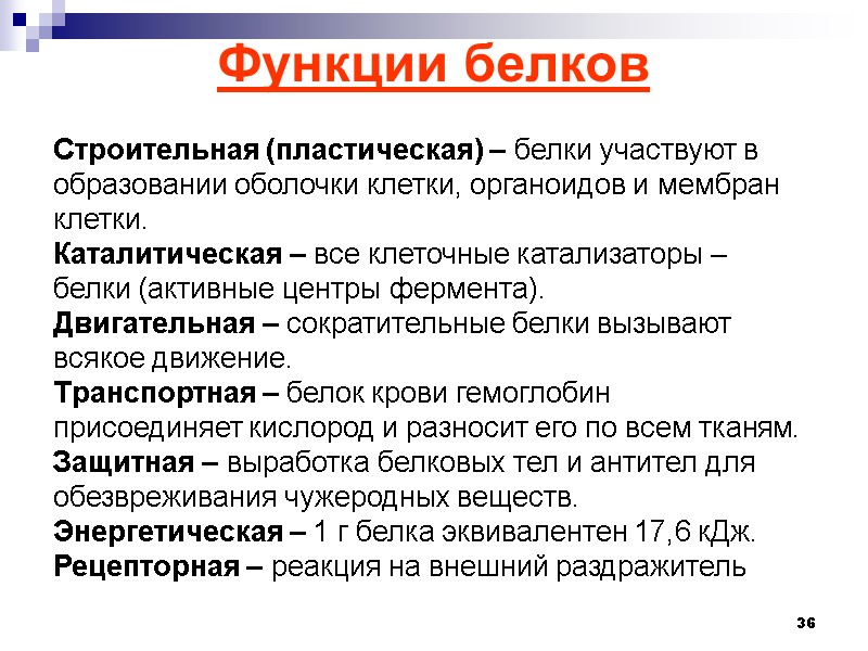 36 Строительная (пластическая) – белки участвуют в образовании оболочки клетки, органоидов и мембран клетки.